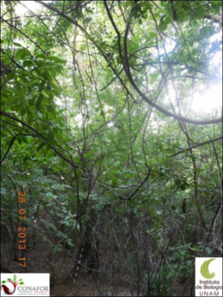 77050_S1_ARC_20130728_019_001.jpg.jpg