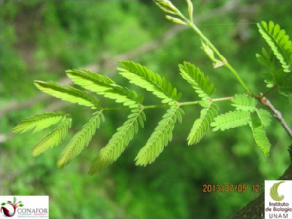 53120_S2_HJ1_20130705_012.jpg.jpg