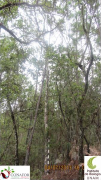 75149_S4_ARC_20130704_007_001.jpg.jpg