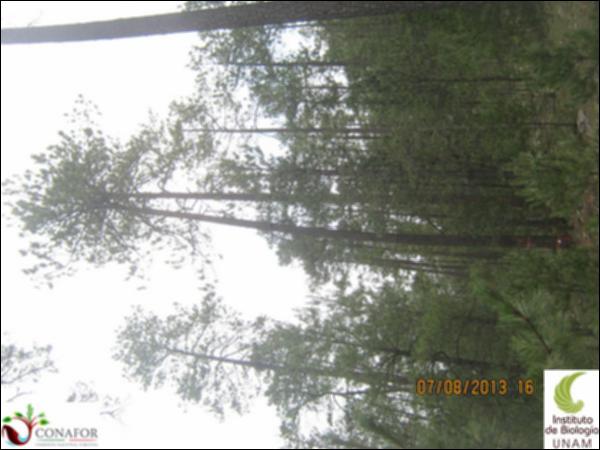 37133_S1_ARC_20130813_001.jpg.jpg