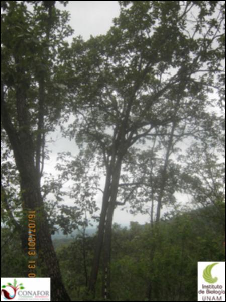 61546_S1_ARC_20130716_001.jpg.jpg