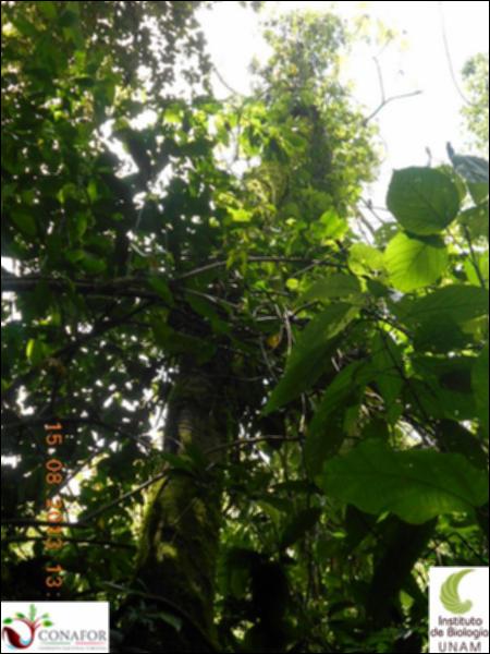 76944_S2_ARC_20130815_005_001.jpg.jpg