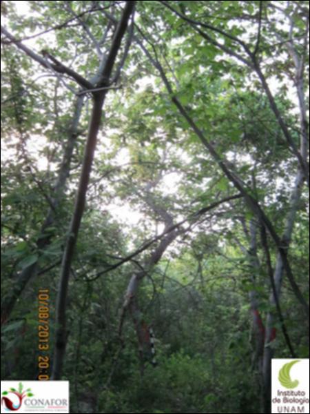 57976_S1_ARC_20130808_013.jpg.jpg