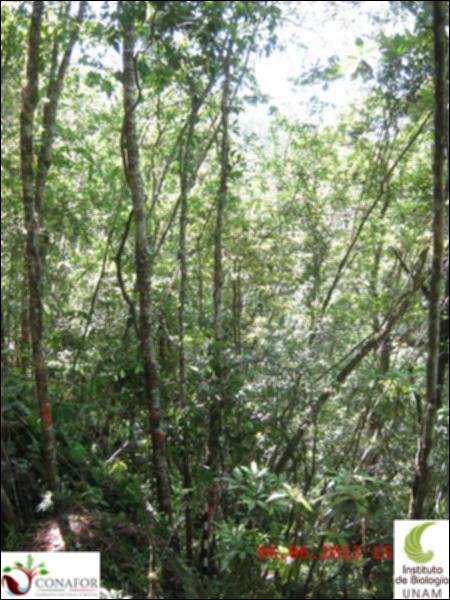 49507_S1_ARC_20130605_001.jpg.jpg