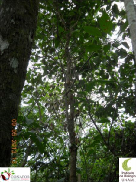 73361_S1_ARC_20130509_006_002.jpg.jpg