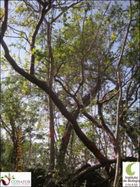 63014_S1_ARC_20131124_008.jpg.jpg