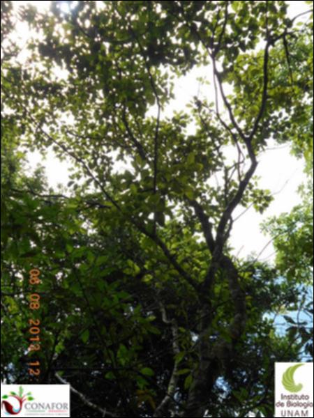 74323_S3_ARC_20130806_004_002.jpg.jpg