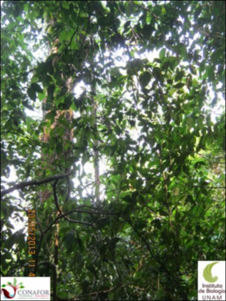 74388_S1_ARC_20130519_030_002.jpg.jpg