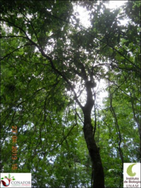 61651_S1_ARC_20130428_004_002.jpg.jpg