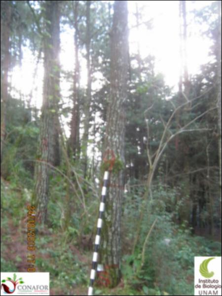 63149_S4_ARC_20131024_009_001.jpg.jpg