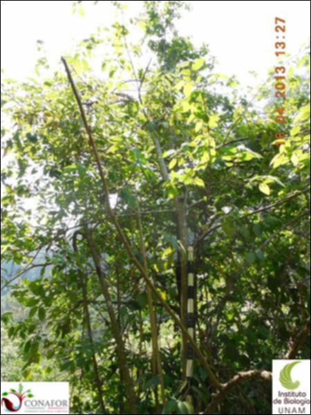 58873_S1_ARC_20130418_014_001.jpg.jpg
