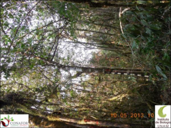 69842_S1_ARC_20130509_029_001.jpg.jpg