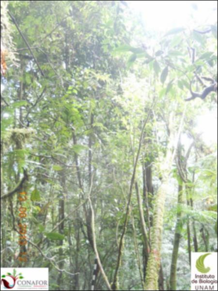 70761_S1_ARC_20130612_001_001.jpg.jpg
