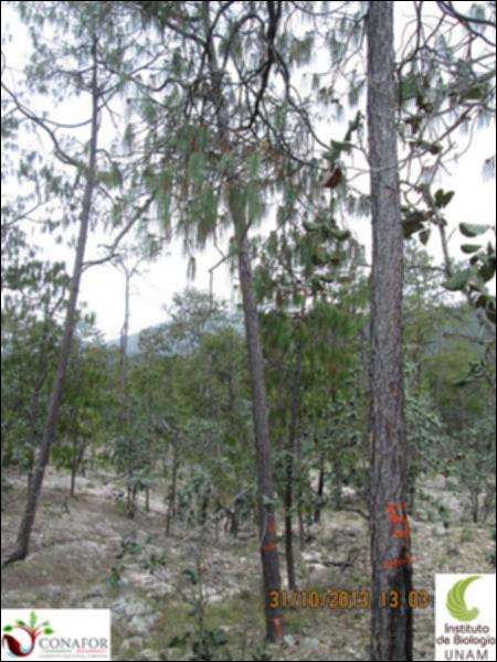 41844_S4_ARC_20131031_007.jpg.jpg