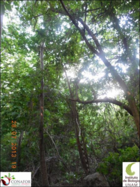 77050_S2_ARC_20130728_018_001.jpg.jpg