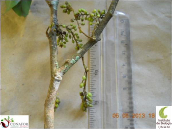 73568_S2_FRT_20130504_011_001.jpg.jpg