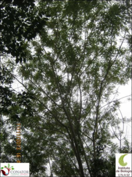 49293_S4_ARC_20131111_013_002.jpg.jpg