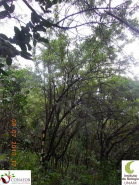 76081_S2_ARC_20130708_015_001.jpg.jpg
