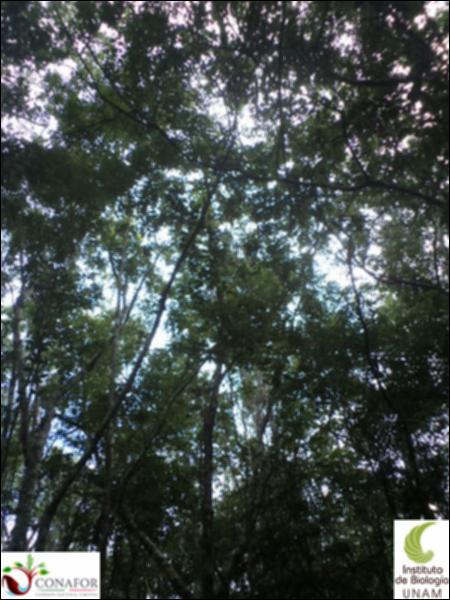 58146_S1_ARC_20130909_004_002.jpg.jpg