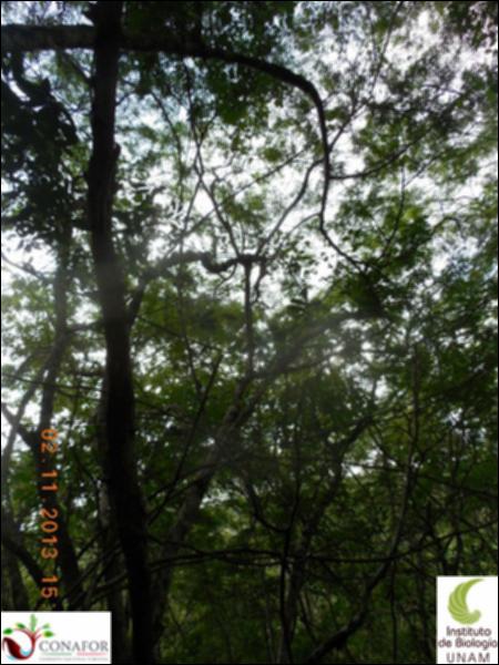 69037_S3_ARC_20131102_008_002.jpg.jpg