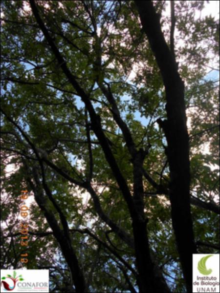 70944_S1_ARC_20130819_019_002.jpg.jpg