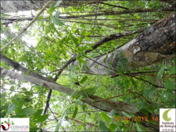 50962_S3_ARC_20130618_011_001.jpg.jpg
