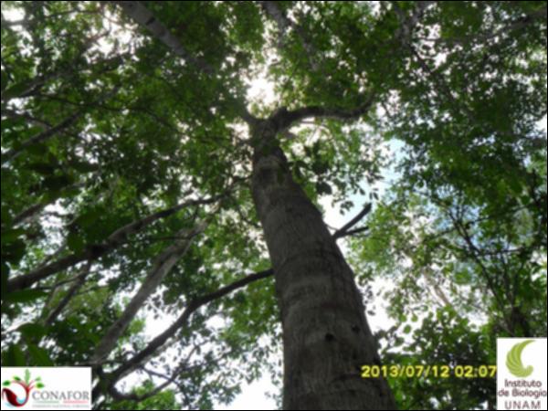 55899_S3_ARC_20130712_017_001.jpg.jpg