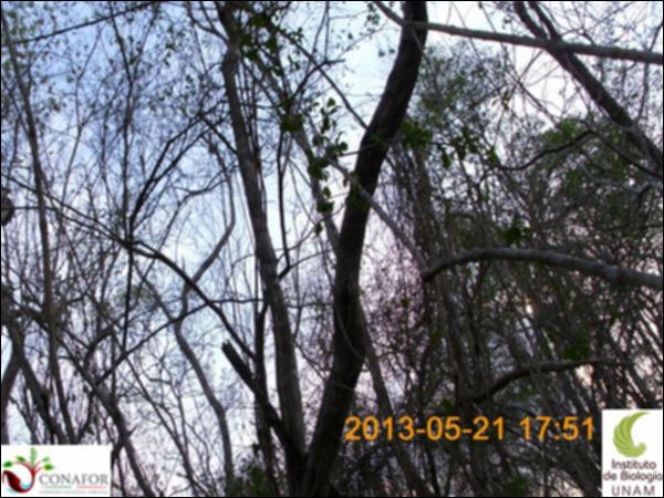 52341_S1_ARC_20130521_007_002.jpg.jpg