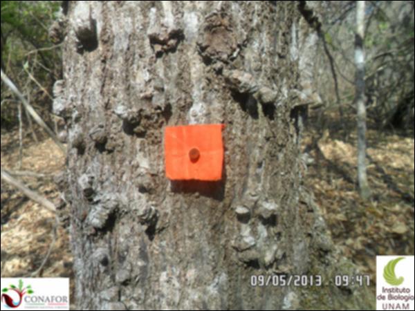 75219_S1_CRT_20130509_004_001.jpg.jpg