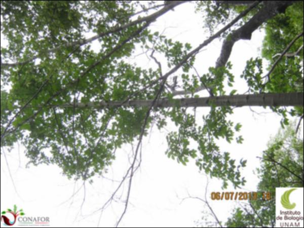 65159_S3_ARC_20130706_026.jpg.jpg