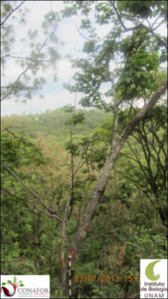 75531_S4_ARC_20130703_007_001.jpg.jpg