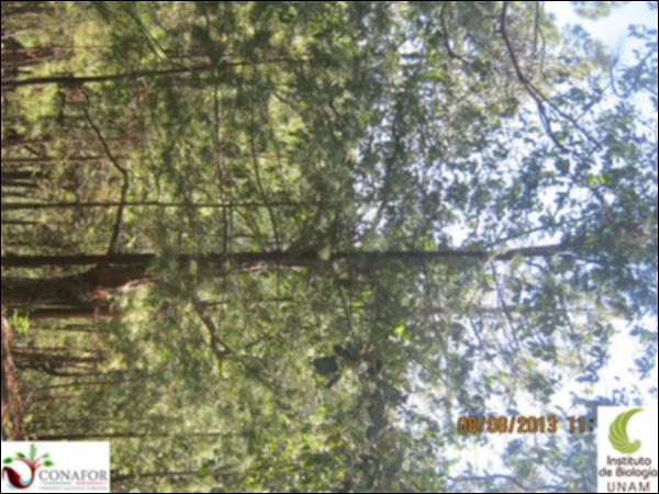 36915_S1_ARC_20130808_001.jpg.jpg