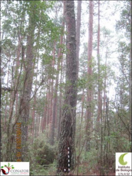 64440_S1_ARC_20130530_010_001.jpg.jpg