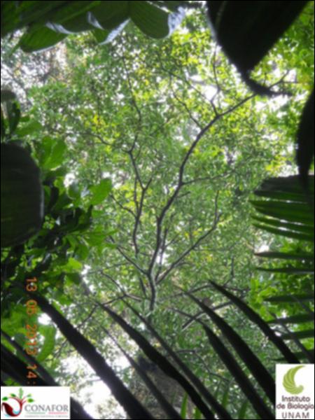 72939_S4_ARC_20130512_013_002.jpg.jpg