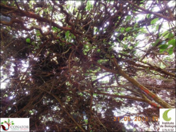 70542_S4_ARC_20130521_002_002.jpg.jpg