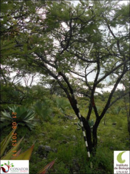 70263_S3_ARC_20130821_004_001.jpg.jpg