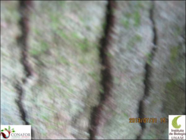 47192_S2_CRT_20130731_017.jpg.jpg