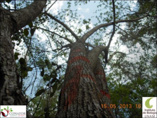 50957_S1_ARC_20130515_009_001.jpg.jpg