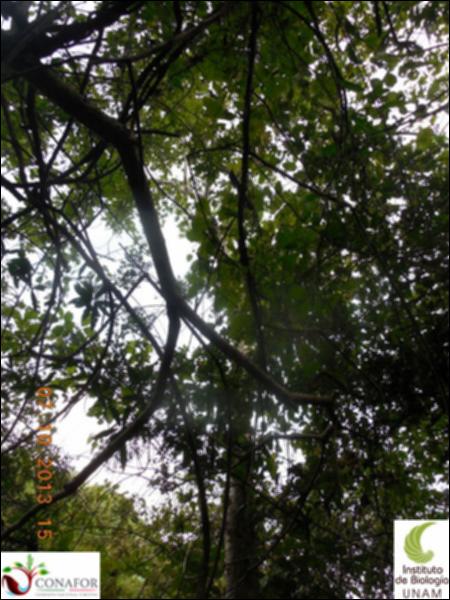 62837_S1_ARC_20131007_016_002.jpg.jpg