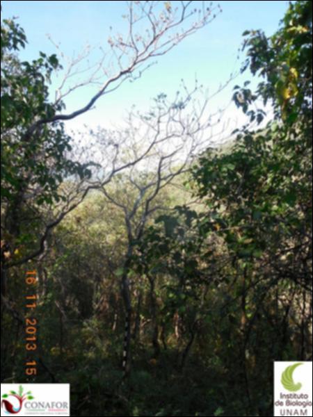 68062_S1_ARC_20131116_004_001.jpg.jpg