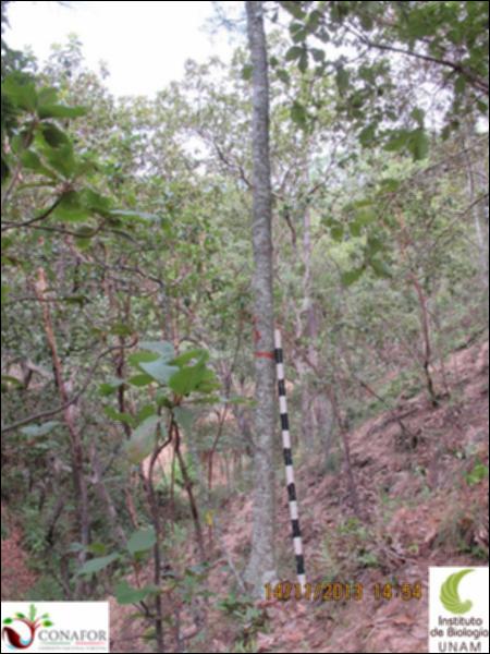 72689_S2_ARC_20131114_005_001.jpg.jpg