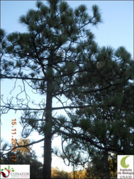 26904_S1_ARC_20131115_001.jpg.jpg