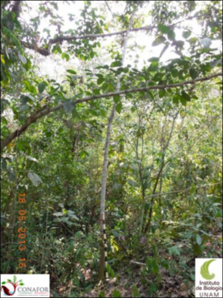 70113_S2_ARC_20130518_013_001.jpg.jpg