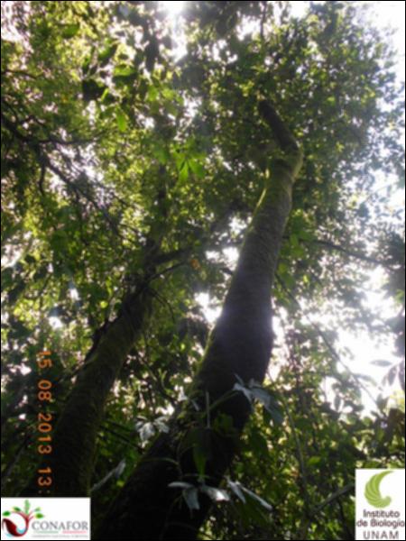 76944_S2_ARC_20130815_002_001.jpg.jpg