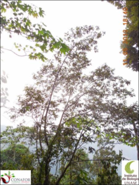71435_S1_ARC_20130511_014_001.jpg.jpg