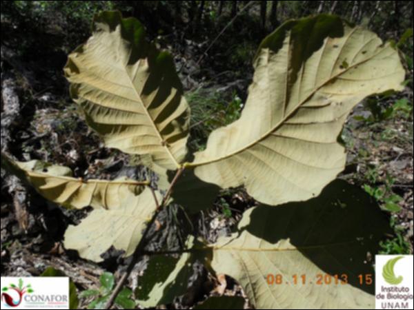 72839_S4_HJ2_20131107_013_001.jpg.jpg