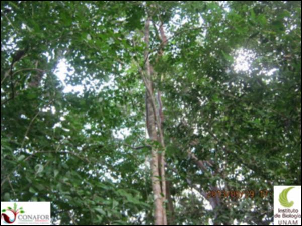 54937_S2_ARC_20130929_014_002.jpg.jpg