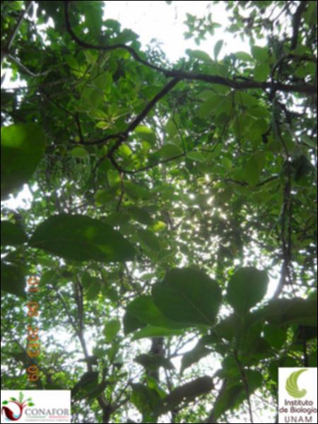 71857_S1_ARC_20130531_004_002.jpg.jpg