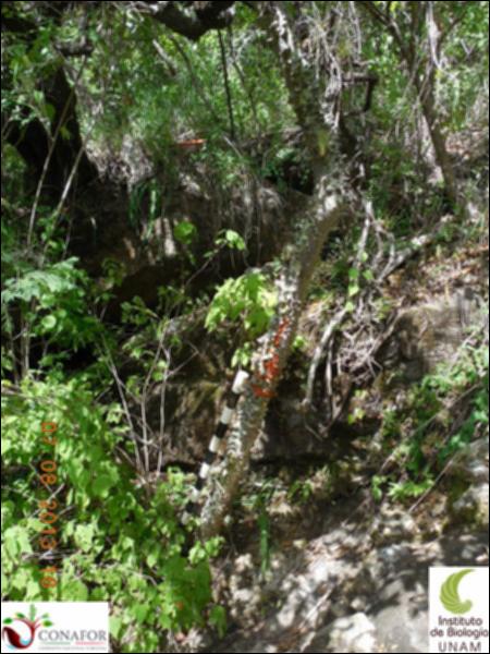 74555_S2_ARC_20130807_008_001.jpg.jpg