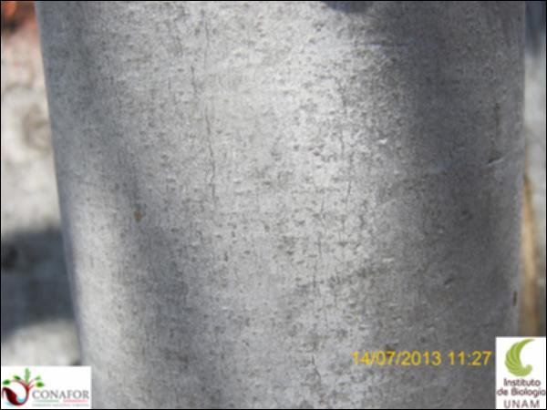 26412_S2_CRT_20130714_013.jpg.jpg